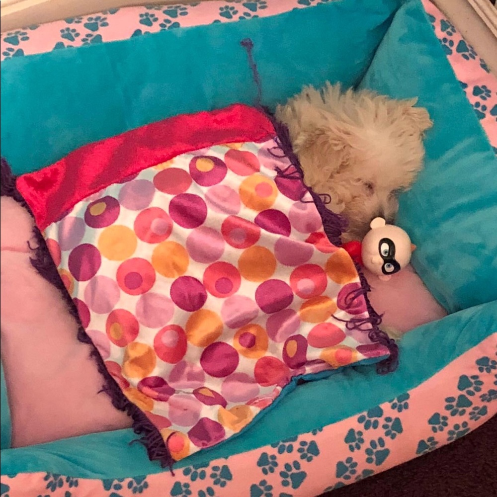 Meet your Posher, Alanis